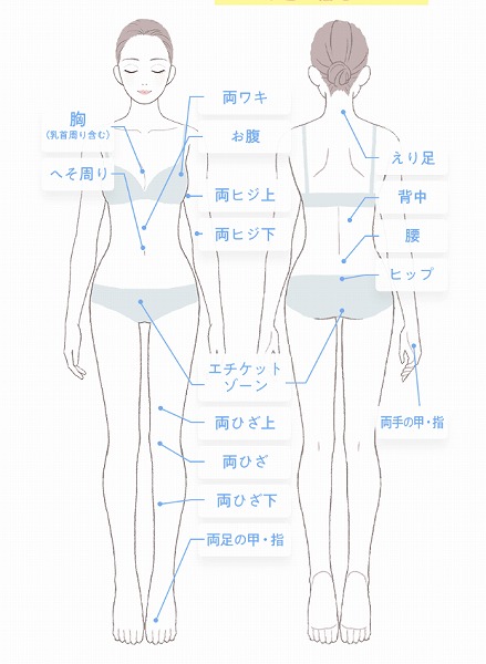 アリシアクリニック全身脱毛部位ごとの料金
